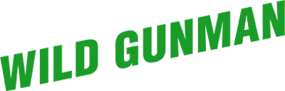 Wild Gunman logo for NES